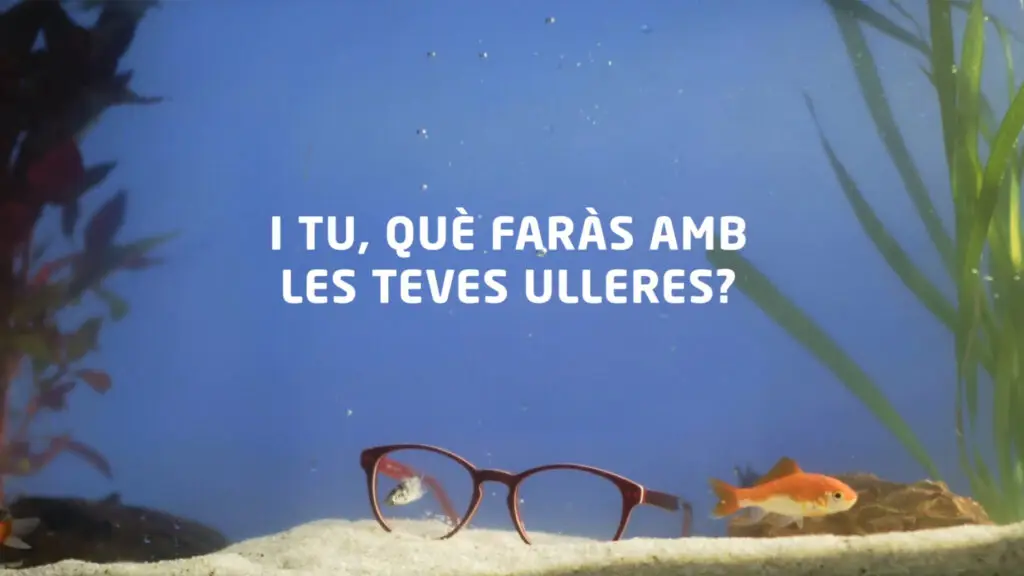 Rodaje de spot publicitario creativo para marcas locales – Brava Films, productora audiovisual Girona